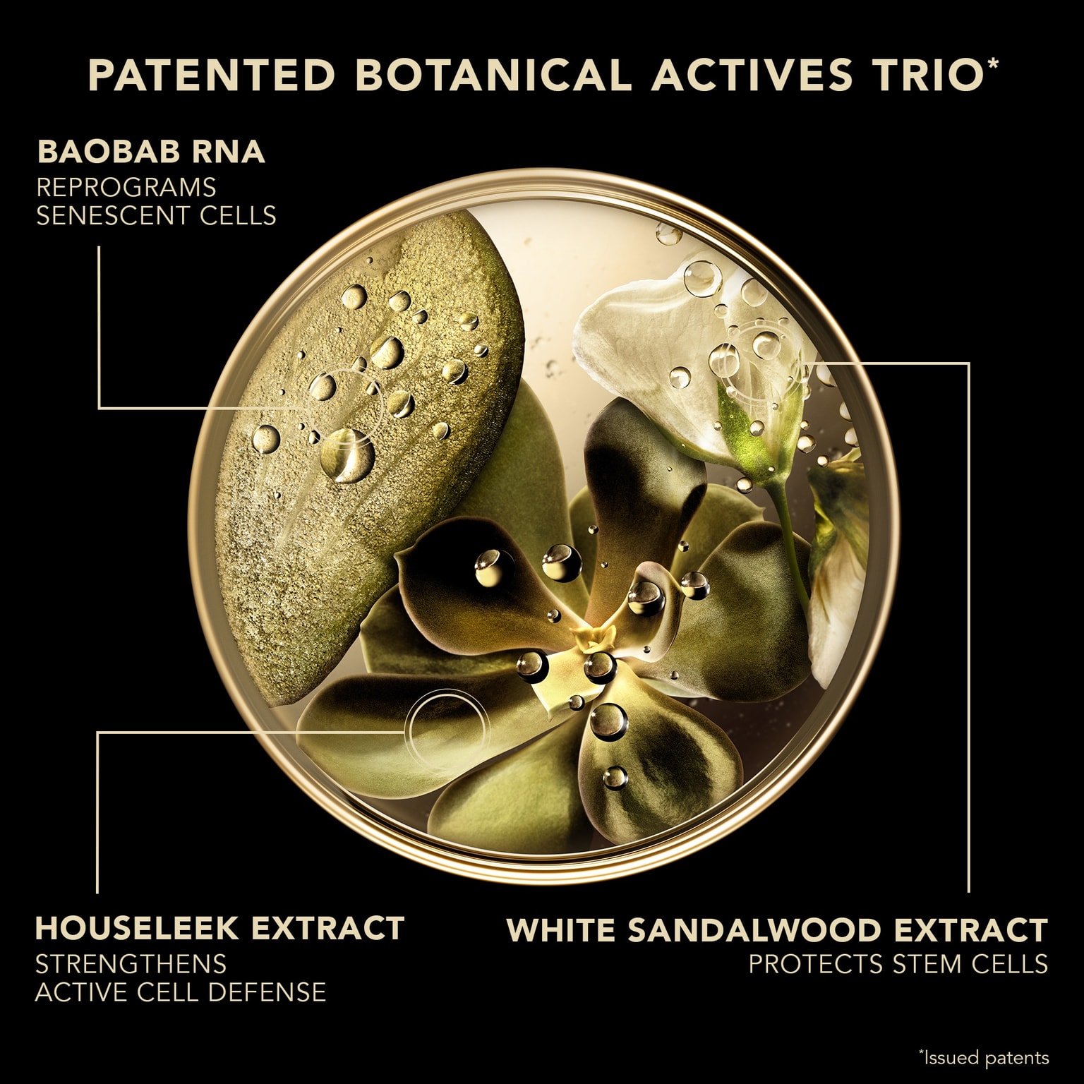 Premium The Silky Cream