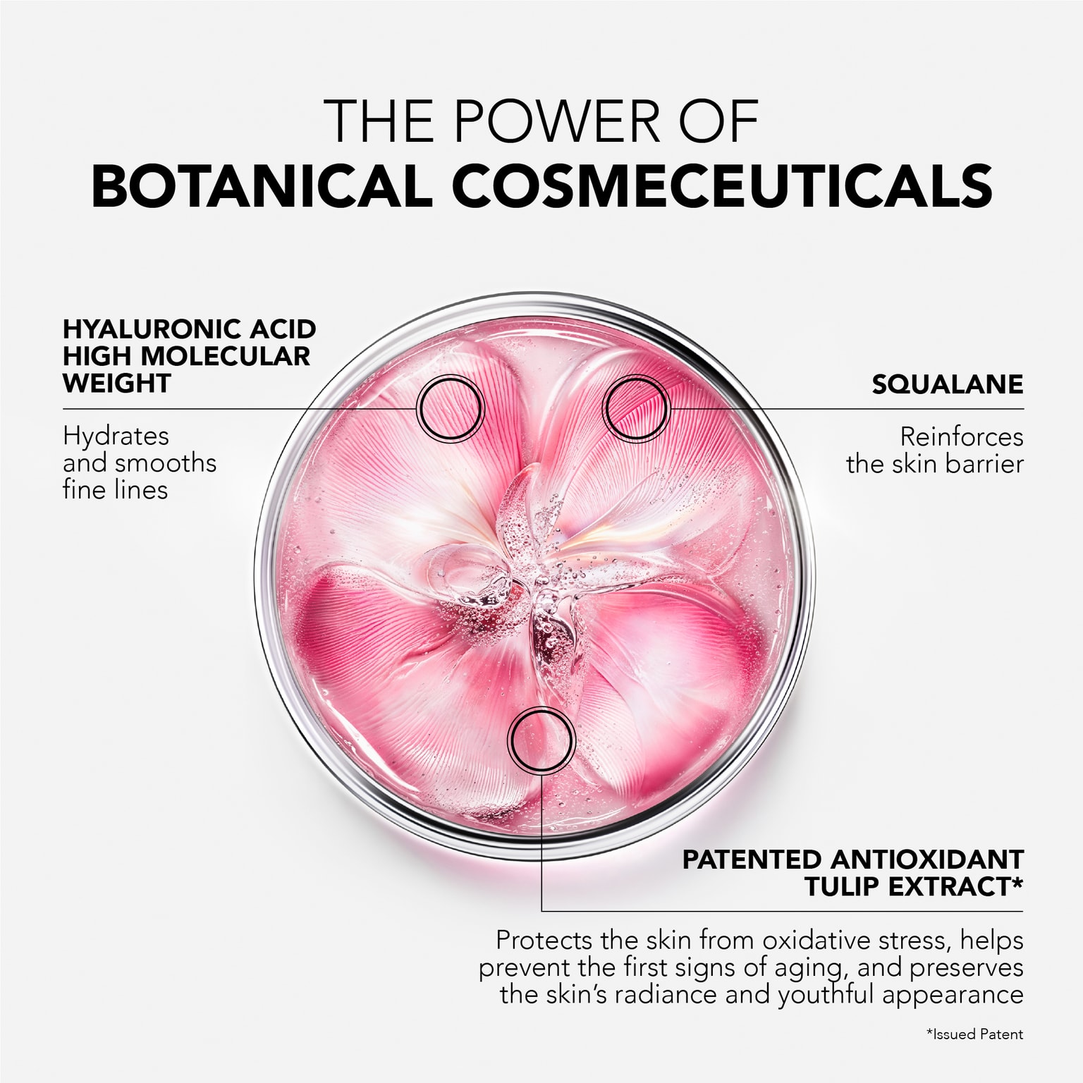 Glow Fresh THE RADIANCE PLUMPING CREAM
