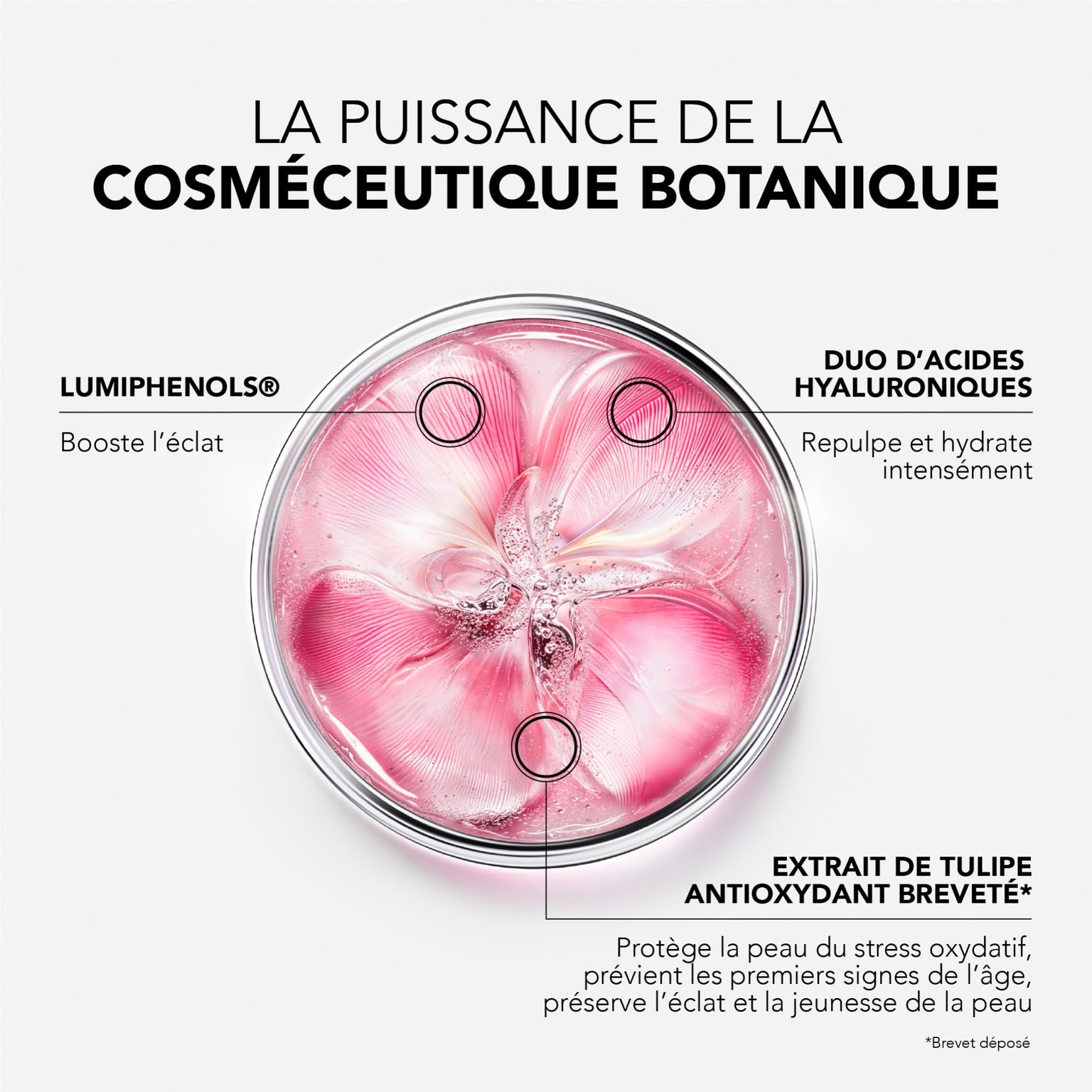 Glow Fresh THE RADIANCE BOOSTER SERUM